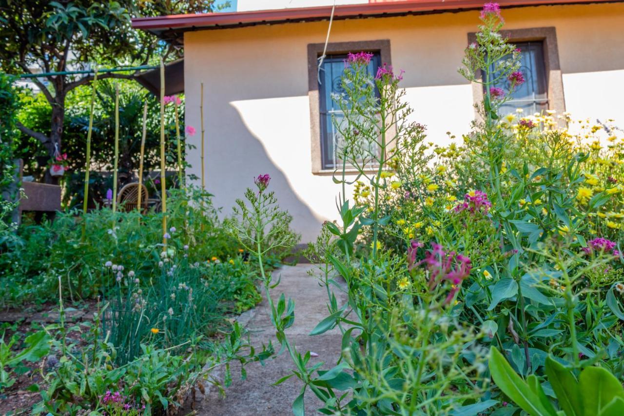 Little Garden House Βίλα Ριέκα Εξωτερικό φωτογραφία